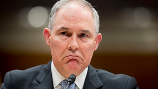 Scott Pruitt Has to Justify Lying About Climate Change on National TV<em></em>